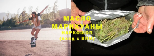 индика Гусев