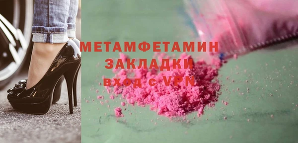 индика Гусев