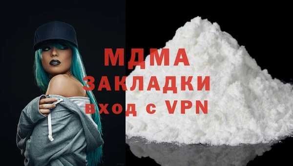 индика Гусев