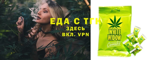 индика Гусев