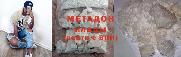 индика Гусев