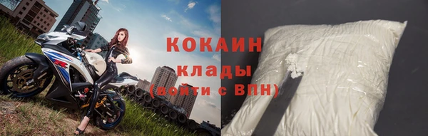 индика Гусев
