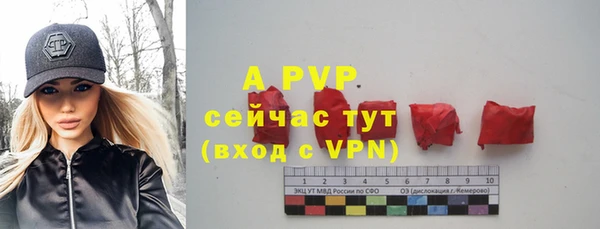 стаф Новодвинск