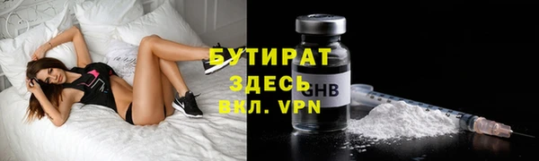 индика Гусев