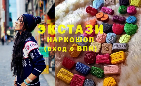 индика Гусев