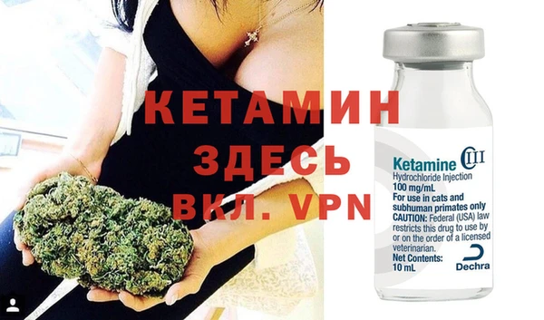 индика Гусев