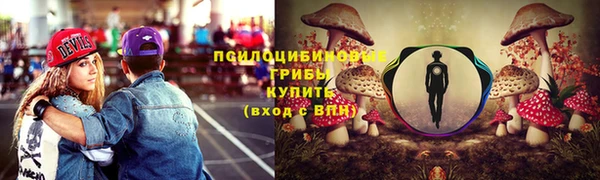 бутират Гусиноозёрск