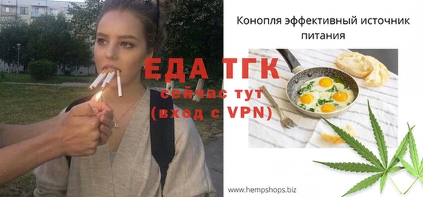 индика Гусев
