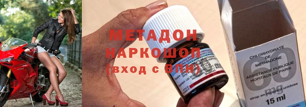 индика Гусев