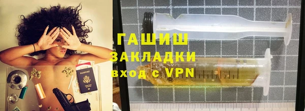индика Гусев
