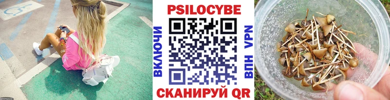 Галлюциногенные грибы Cubensis  Няндома 