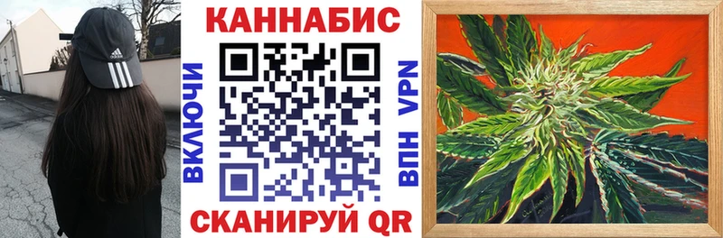 где можно купить наркотик  Няндома  Конопля тримм 